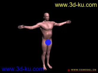 3D打印模型male的图片
