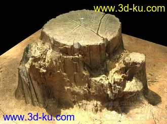 3D打印模型细节精度极高的树桩.rar的图片