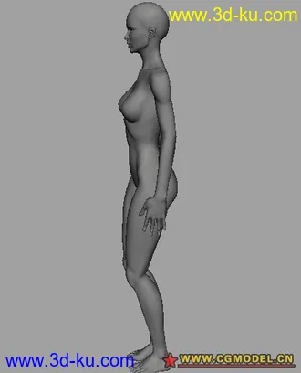 简单的人物女性模型的图片