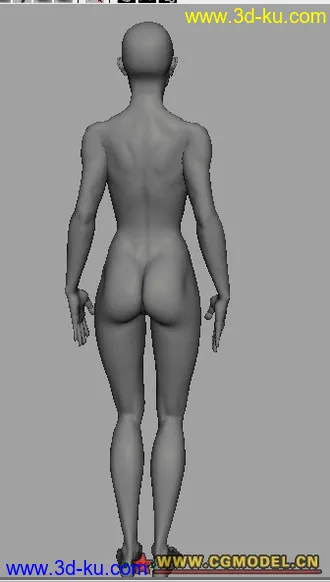 简单的人物女性模型的图片
