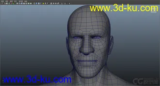 男人 全身模型的图片
