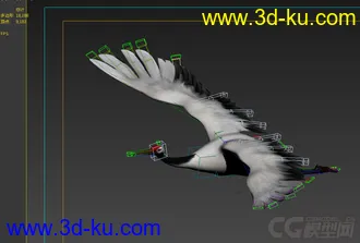 3D打印模型仙鹤啊啊啊啊啊啊啊啊啊啊啊啊啊啊啊啊啊啊啊啊啊的图片