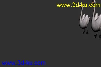 3D打印模型天鹅的图片