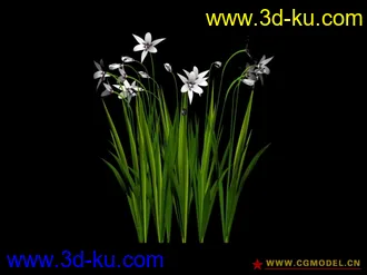 3D打印模型花草的图片
