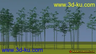 3D打印模型花草的图片