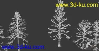 3D打印模型枯树 枯木的图片