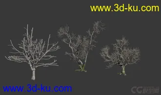 3D打印模型枯树 枯木的图片