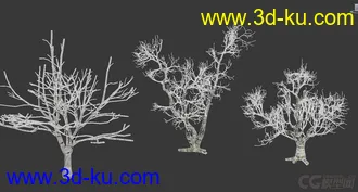 3D打印模型枯树 枯木的图片