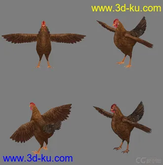 3D打印模型鸡,母鸡,老母鸡,写实鸡,手绘鸡的图片