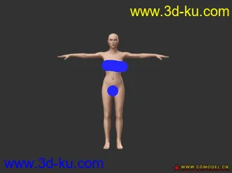3D打印模型女人人体的图片