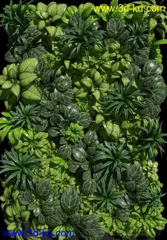 3D打印模型植物-多肉-盆栽的图片