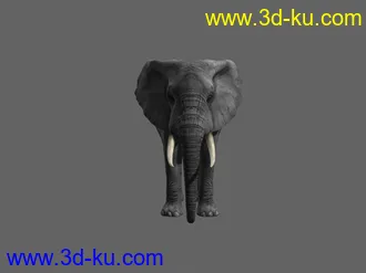 大象，影视动画模型，带绑定，带动画的图片