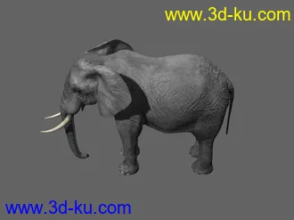 大象，影视动画模型，带绑定，带动画的图片