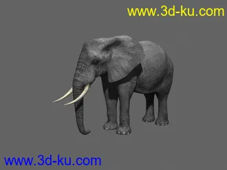 大象，影视动画模型，带绑定，带动画的图片