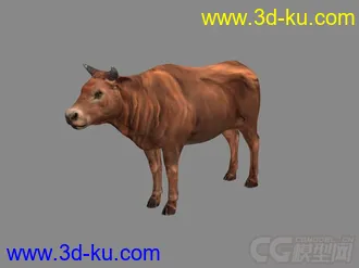 3D打印模型黄牛的图片