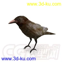 3D打印模型鸟的图片