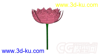 3D打印模型海棠花的图片