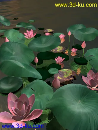 3D打印模型荷花，3dmax, 贴图的图片