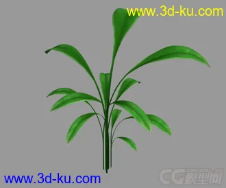 3D打印模型一些小花花小草草~的图片