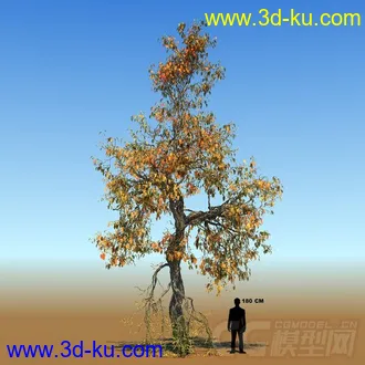 3D打印模型写实大树，精模的图片
