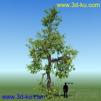 3D打印模型写实大树，精模的图片