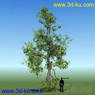 3D打印模型写实大树，精模的图片