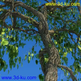 3D打印模型写实大树，精模的图片