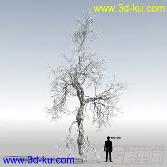 3D打印模型写实大树，精模的图片