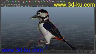 3D打印模型写实鸟的图片