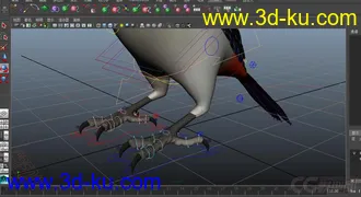 3D打印模型写实鸟的图片