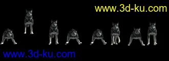 3D打印模型狗-狼狗-犬-附带29种动画的图片