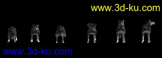 3D打印模型狗-狼狗-犬-附带29种动画的图片
