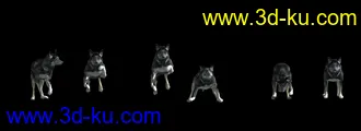 3D打印模型狗-狼狗-犬-附带29种动画的图片