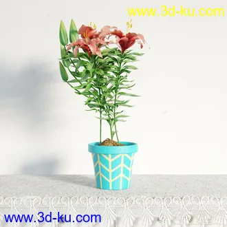 3D打印模型写实盆栽，花，高精的图片