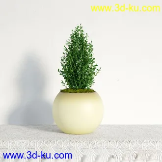 3D打印模型写实盆栽，花，高精的图片