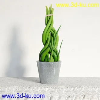 3D打印模型写实盆栽，花，高精的图片