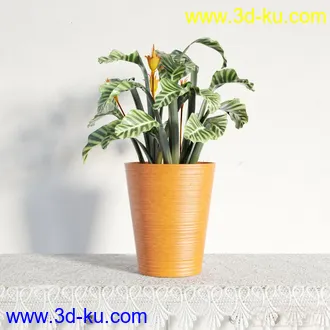 3D打印模型写实盆栽，花，高精的图片