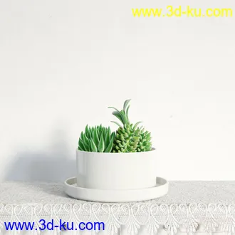 3D打印模型盆景，盆栽，花，高精，写实。多肉的图片