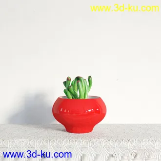 3D打印模型盆景，盆栽，花，高精，写实，多肉的图片