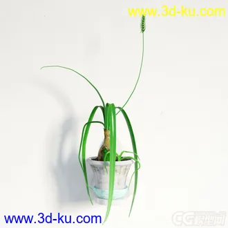 3D打印模型盆景，盆栽，花，高精，写实，多肉的图片
