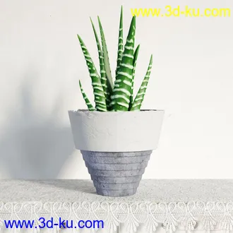 3D打印模型盆景，盆栽，花，高精，写实，多肉的图片