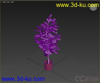 3D打印模型盆栽，高精，写实的图片