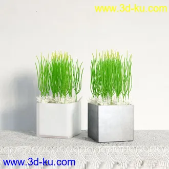 3D打印模型盆栽，高精，写实的图片