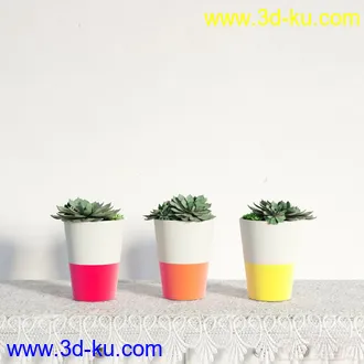 盆栽，高精模型，写实的图片