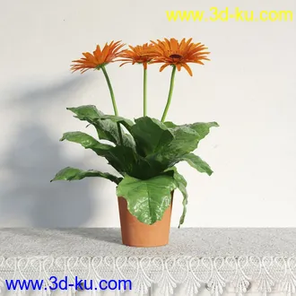 3D打印模型盆栽，高精，写实的图片