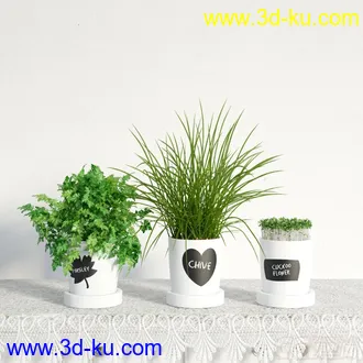 3D打印模型盆栽，高精，写实的图片