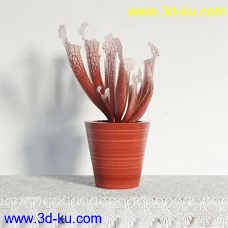 3D打印模型盆栽，高精，写实的图片