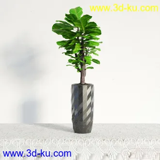 3D打印模型盆栽，高精，写实的图片