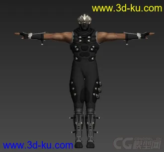 3D打印模型忍者龙剑传的图片