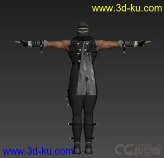 3D打印模型忍者龙剑传的图片
